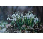 Tableau Flowers N° 19 - Antonina Levskaya