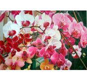 Tableau Flowers N° 1 - Antonina Levskaya