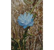 Tableau Flowers N° 22 - Antonina Levskaya