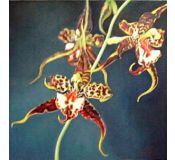 Tableau Flowers N° 9 - Antonina Levskaya